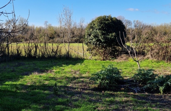Terrain à vendre Mauguio