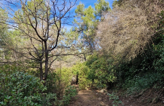 Terrain à vendre Montferrier-sur-Lez