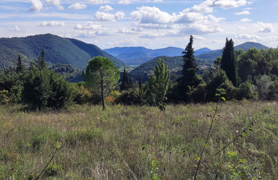 LODÈVE - Terrain constructible de 4040 m²